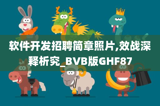 软件开发招聘简章照片,效战深释析究_BVB版GHF87