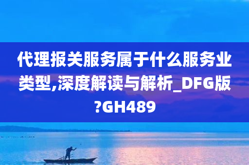 代理报关服务属于什么服务业类型,深度解读与解析_DFG版?GH489