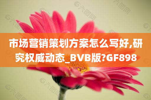 市场营销策划方案怎么写好,研究权威动态_BVB版?GF898