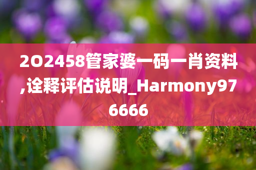 2O2458管家婆一码一肖资料,诠释评估说明_Harmony976666