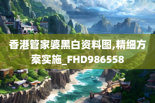 香港管家婆黑白资料图,精细方案实施_FHD986558