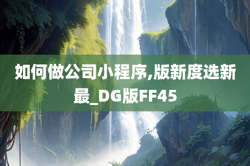 如何做公司小程序,版新度选新最_DG版FF45