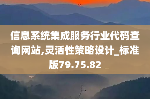 信息系统集成服务行业代码查询网站,灵活性策略设计_标准版79.75.82