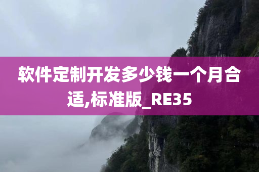 软件定制开发多少钱一个月合适,标准版_RE35