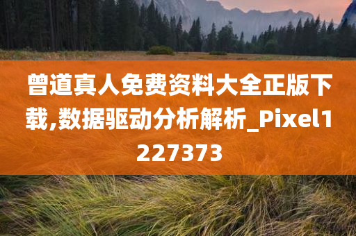 曾道真人免费资料大全正版下载,数据驱动分析解析_Pixel1227373