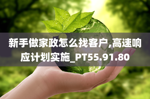 新手做家政怎么找客户,高速响应计划实施_PT55.91.80