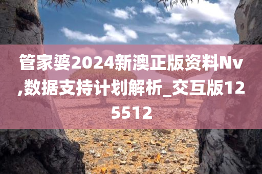 管家婆2024新澳正版资料Nv,数据支持计划解析_交互版125512