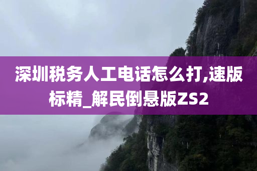 深圳税务人工电话怎么打,速版标精_解民倒悬版ZS2