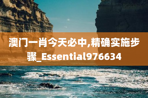 澳门一肖今天必中,精确实施步骤_Essential976634