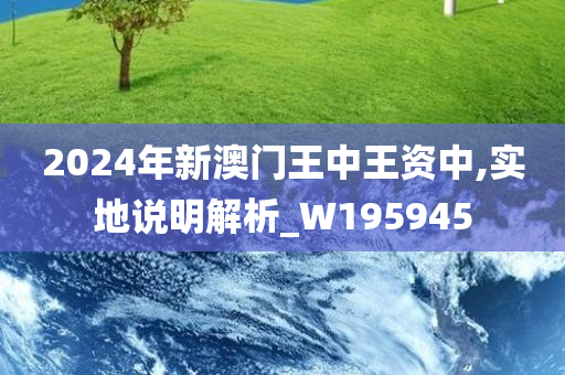 2024年新澳门王中王资中,实地说明解析_W195945