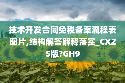 技术开发合同免税备案流程表图片,结构解答解释落实_CXZS版?GH9