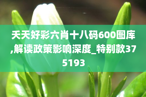 夭天好彩六肖十八码600图库,解读政策影响深度_特别款375193