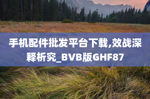 手机配件批发平台下载,效战深释析究_BVB版GHF87