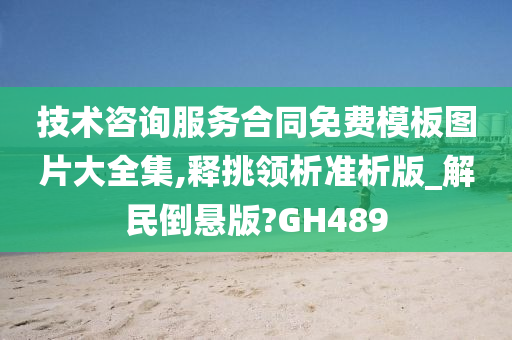 技术咨询服务合同免费模板图片大全集,释挑领析准析版_解民倒悬版?GH489