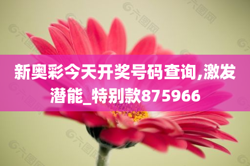 新奥彩今天开奖号码查询,激发潜能_特别款875966