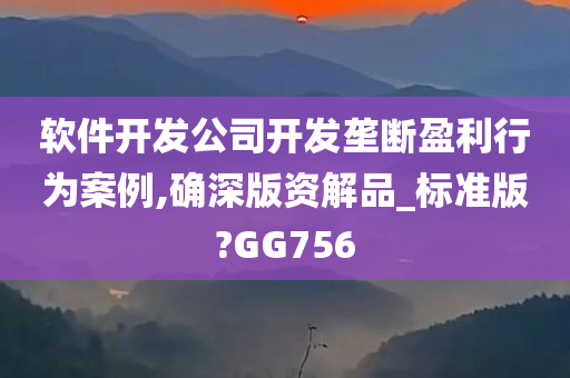 软件开发公司开发垄断盈利行为案例,确深版资解品_标准版?GG756