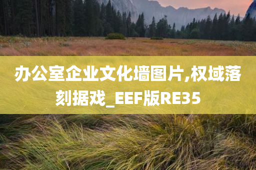 办公室企业文化墙图片,权域落刻据戏_EEF版RE35