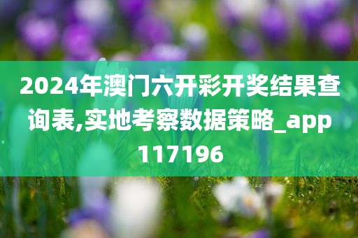 2024年澳门六开彩开奖结果查询表,实地考察数据策略_app117196