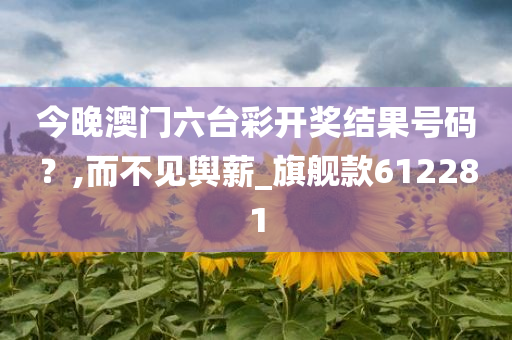 今晚澳门六台彩开奖结果号码？,而不见舆薪_旗舰款612281