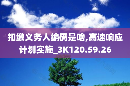 扣缴义务人编码是啥,高速响应计划实施_3K120.59.26