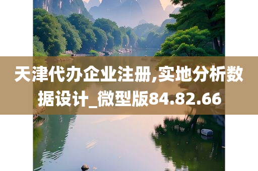 天津代办企业注册,实地分析数据设计_微型版84.82.66