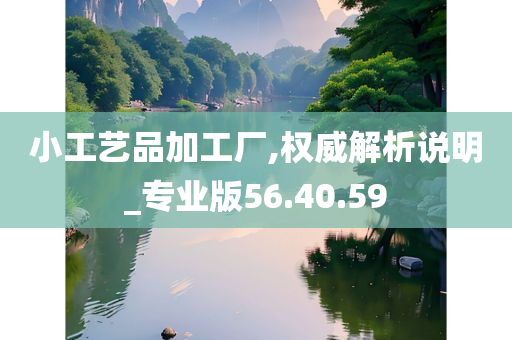 小工艺品加工厂,权威解析说明_专业版56.40.59