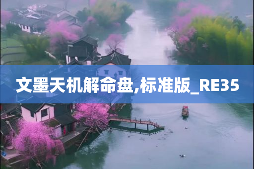 文墨天机解命盘,标准版_RE35