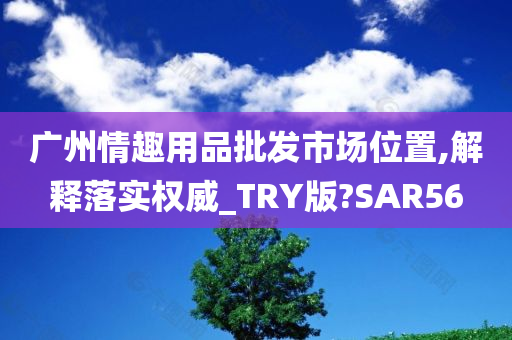 广州情趣用品批发市场位置,解释落实权威_TRY版?SAR56