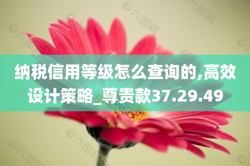 纳税信用等级怎么查询的,高效设计策略_尊贵款37.29.49