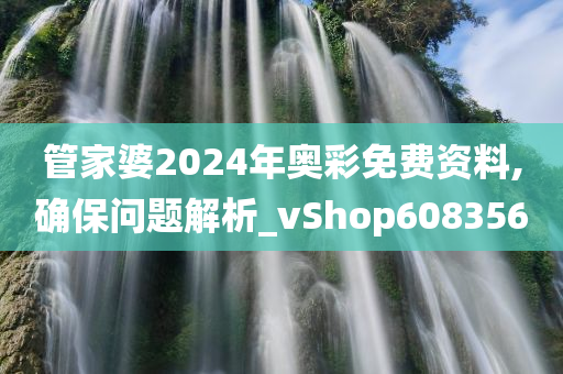 管家婆2024年奥彩免费资料,确保问题解析_vShop608356