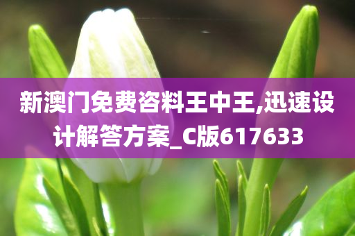 新澳门免费咨料王中王,迅速设计解答方案_C版617633