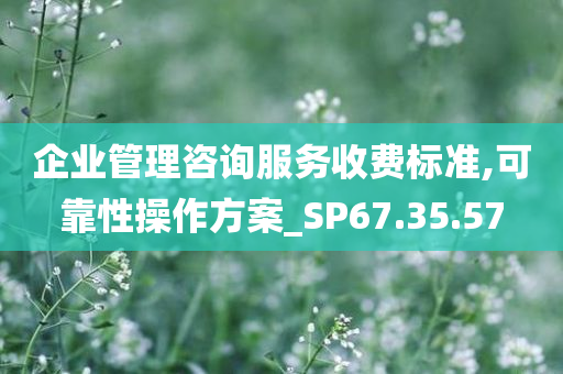 企业管理咨询服务收费标准,可靠性操作方案_SP67.35.57