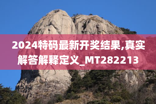 2024特码最新开奖结果,真实解答解释定义_MT282213