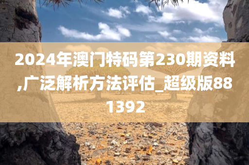 2024年澳门特码第230期资料,广泛解析方法评估_超级版881392