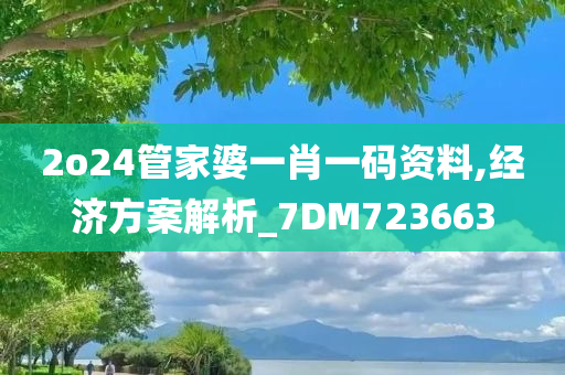 2o24管家婆一肖一码资料,经济方案解析_7DM723663