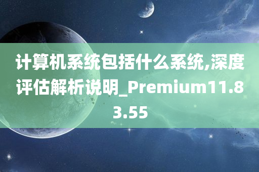 计算机系统包括什么系统,深度评估解析说明_Premium11.83.55