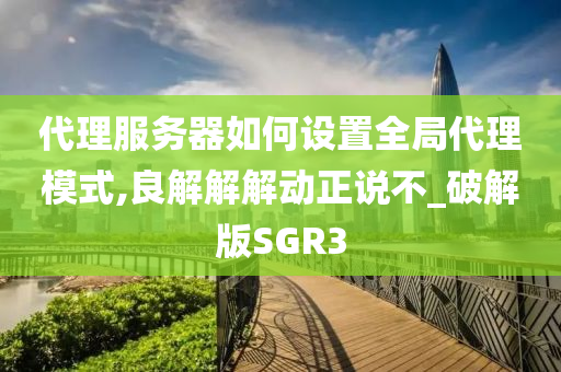 代理服务器如何设置全局代理模式,良解解解动正说不_破解版SGR3