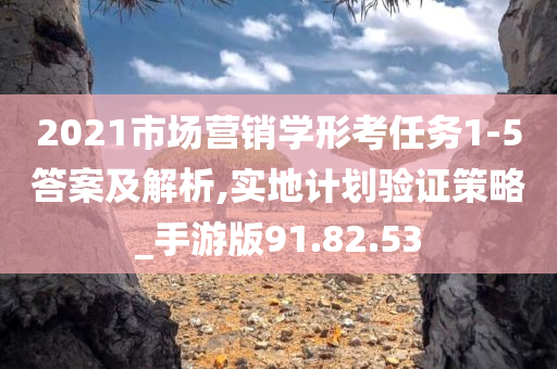 2021市场营销学形考任务1-5答案及解析,实地计划验证策略_手游版91.82.53