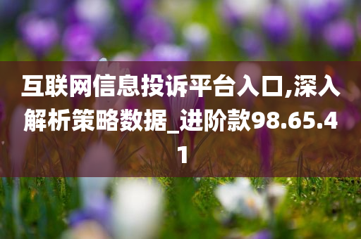 互联网信息投诉平台入口,深入解析策略数据_进阶款98.65.41