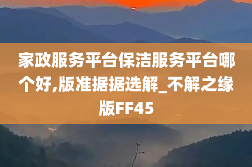 家政服务平台保洁服务平台哪个好,版准据据选解_不解之缘版FF45