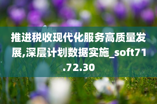 推进税收现代化服务高质量发展,深层计划数据实施_soft71.72.30