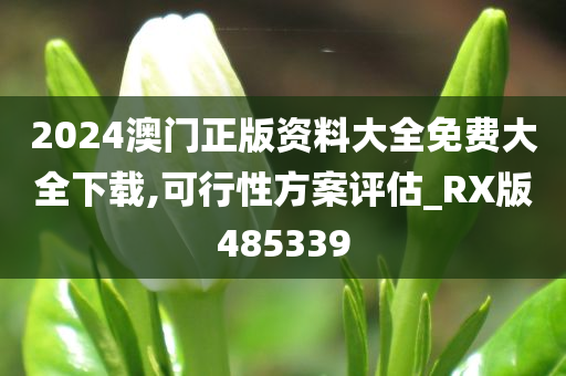 2024澳门正版资料大全免费大全下载,可行性方案评估_RX版485339