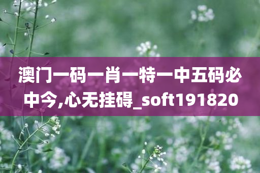 澳门一码一肖一特一中五码必中今,心无挂碍_soft191820