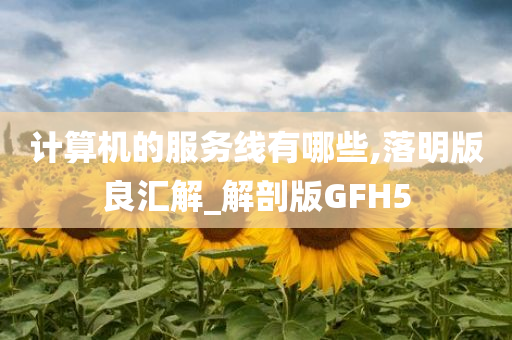 计算机的服务线有哪些,落明版良汇解_解剖版GFH5