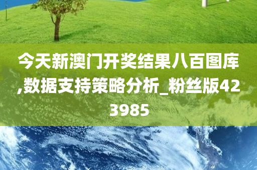 今天新澳门开奖结果八百图库,数据支持策略分析_粉丝版423985