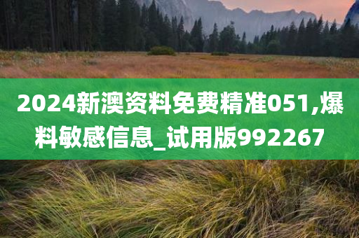 2024新澳资料免费精准051,爆料敏感信息_试用版992267