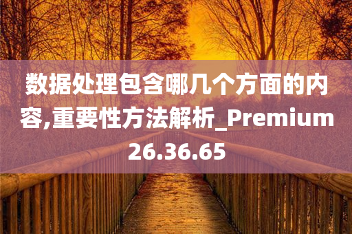 数据处理包含哪几个方面的内容,重要性方法解析_Premium26.36.65