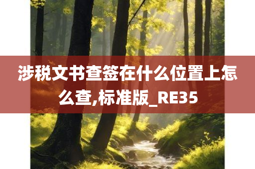 涉税文书查签在什么位置上怎么查,标准版_RE35