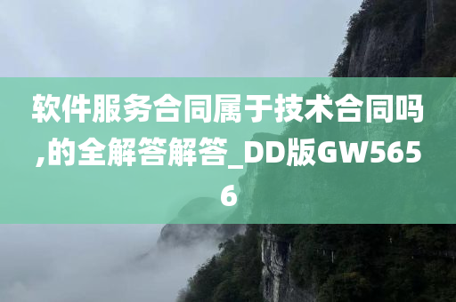 软件服务合同属于技术合同吗,的全解答解答_DD版GW5656