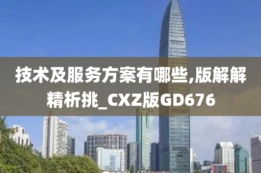 技术及服务方案有哪些,版解解精析挑_CXZ版GD676